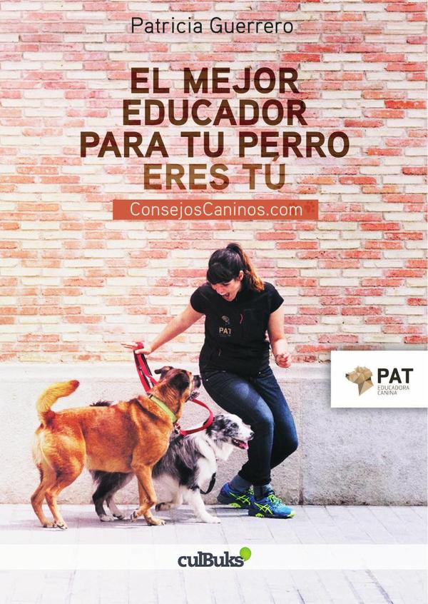 El mejor educador de tu perro eres tú:Consejoscainos.com