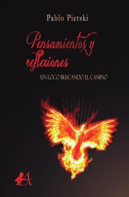 Pensamiento y reflexiones:Un loco buscando el camino