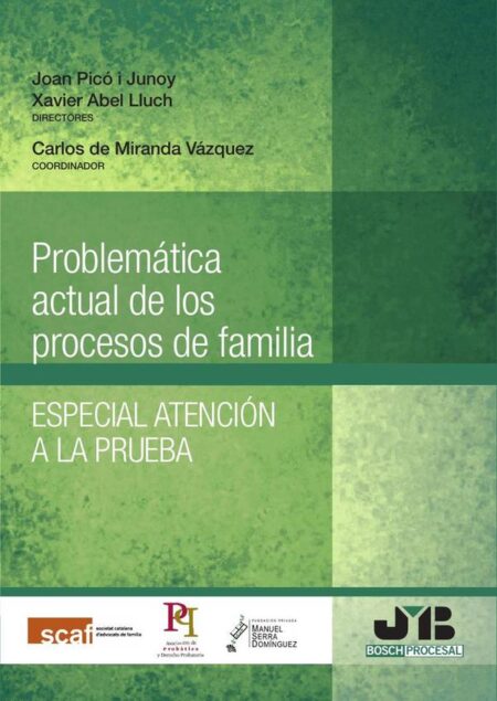 Problemática actual de los procesos de familia.:Especial atención a la prueba.