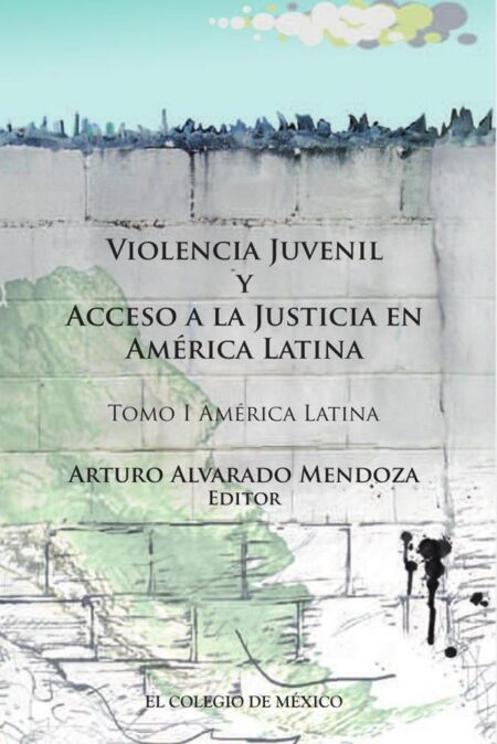 Violencia juvenil y acceso a la justicia.:Tomo I. América Latina