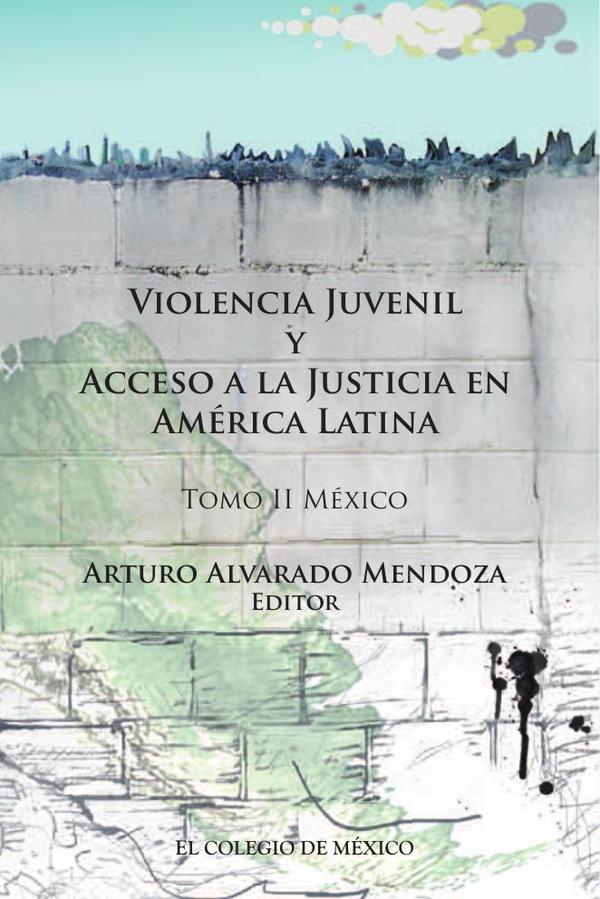 Violencia juvenil y acceso a la justicia.:Tomo II. México