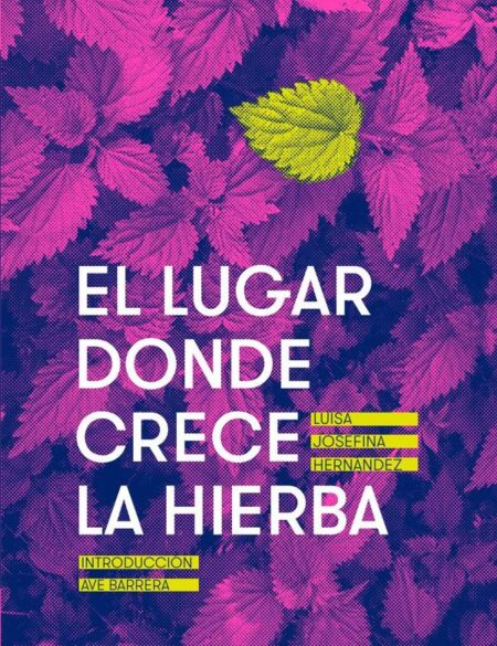 El lugar donde crece la hierba
