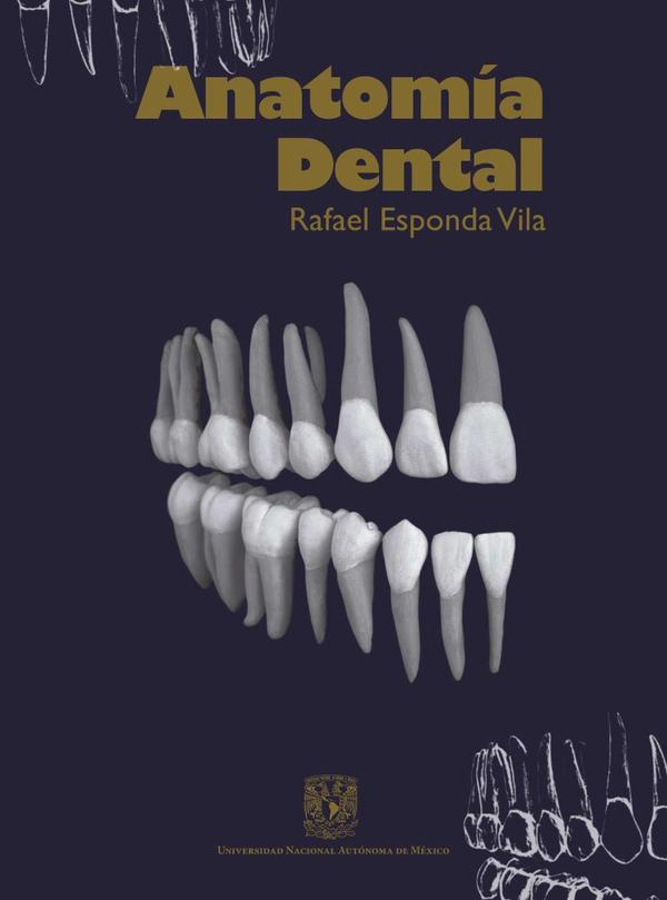 Anatomía dental