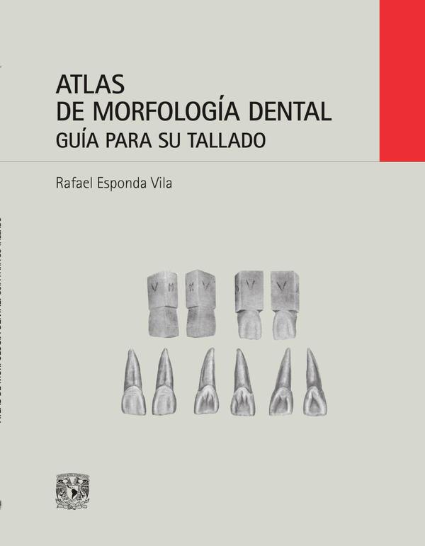 Atlas de morfología dental. Guía para su tallado