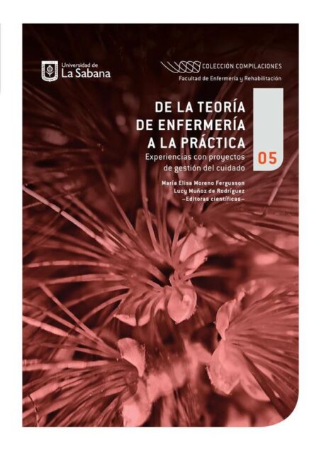 De la teoría de enfermería a la práctica:Experiencias con proyectos de gestión del cuidado