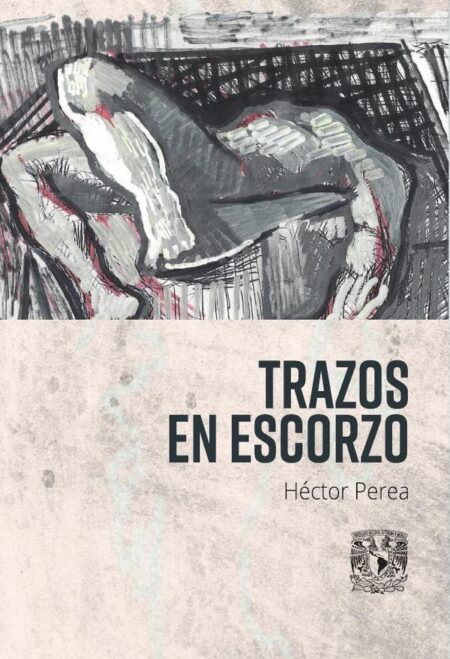 Trazos en escorzo