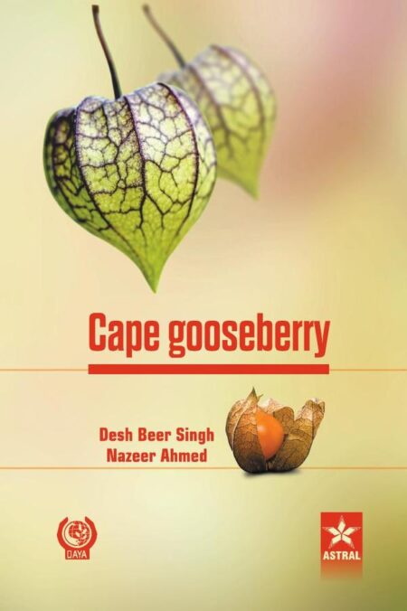 Cape gooseberry