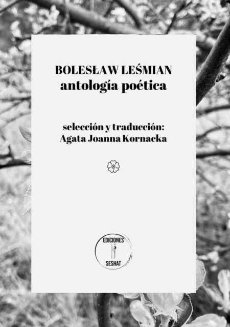 Boleslaw Lesmian