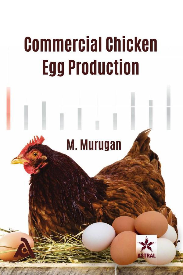 Commercial Chicken Egg Production