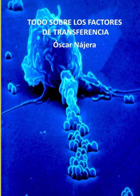 Todo sobre los factores de transferencia