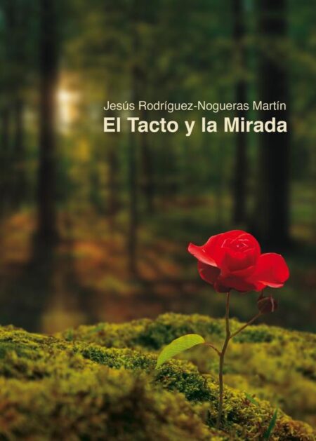 El tacto y la mirada