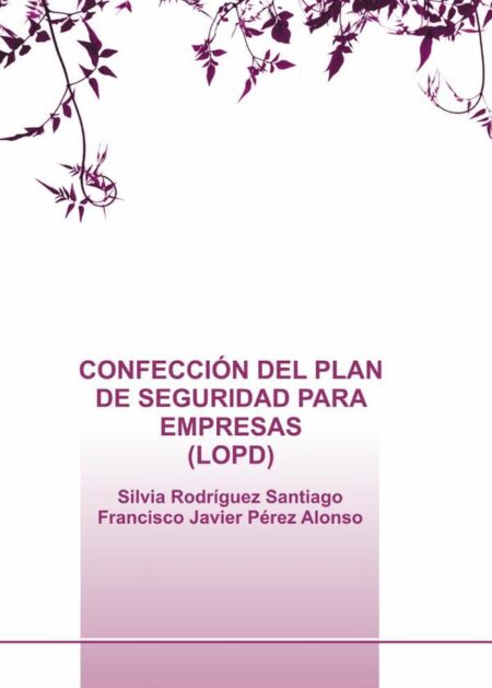 Confección del plan de seguridad para empresas (lopd)