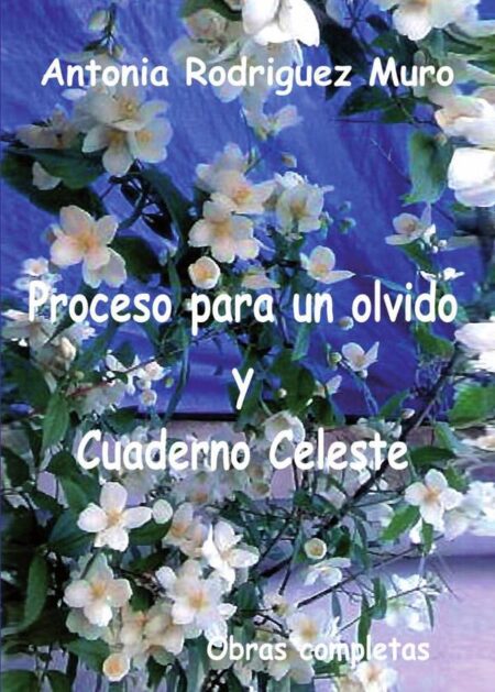 Proceso para un olvido y cuaderno celeste.