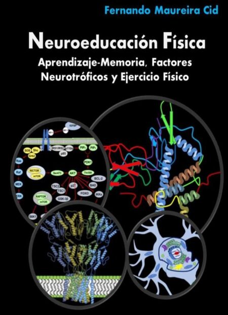 Neuroeducación Física. Aprendizaje-Memoria, Factores Neurotróficos y Ejercicio Físico