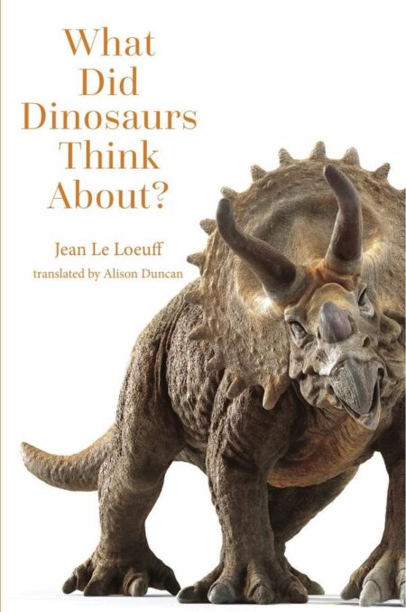 What Did Dinosaurs Think About?