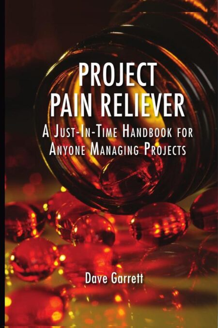Project Pain Reliever:A Just-In-Time Handbook for Anyone Managing Projects