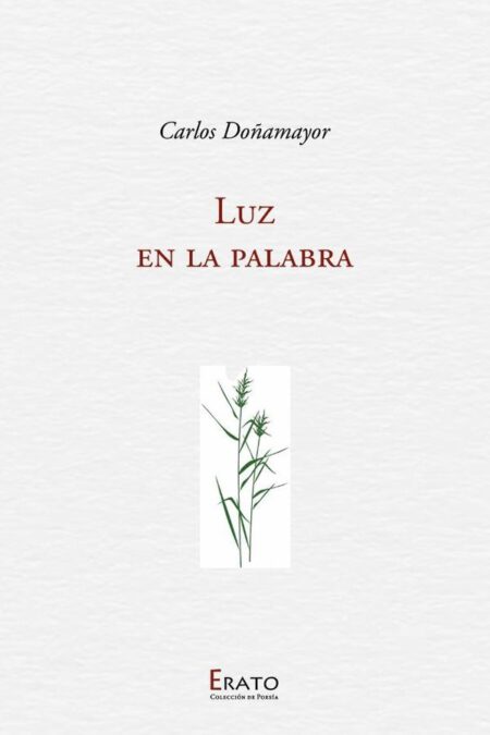 Luz en la palabra