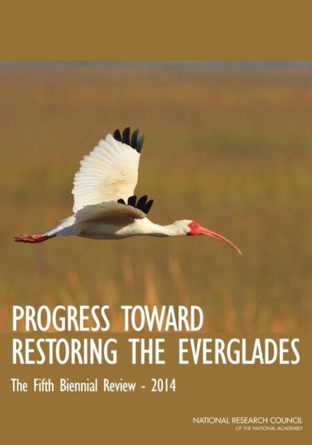 Progress Toward Restoring the Everglades