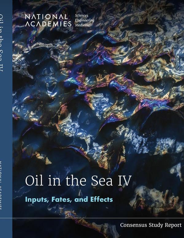 Oil in the Sea IV
