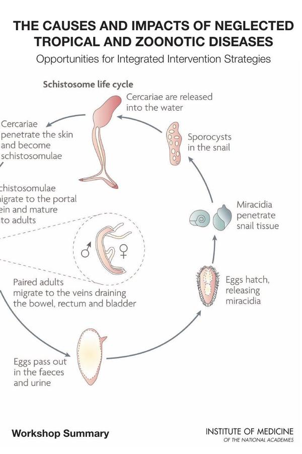 The Causes and Impacts of Neglected Tropical and Zoonotic Diseases