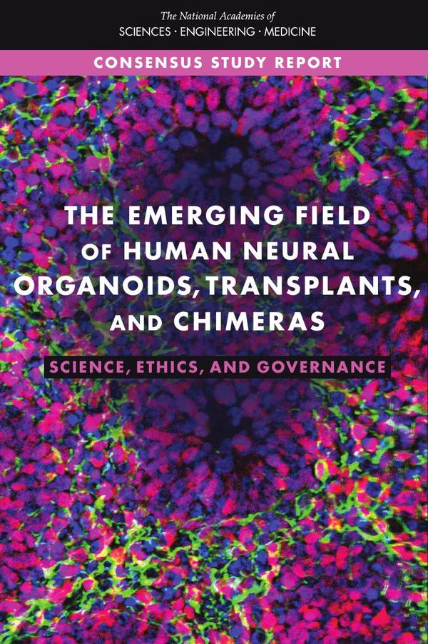 The Emerging Field of Human Neural Organoids, Transplants, and Chimeras