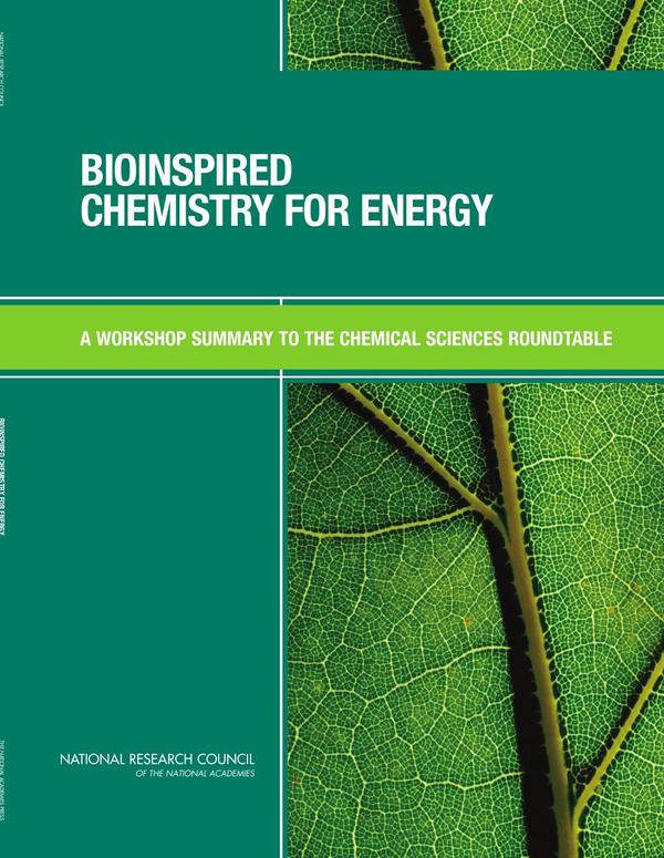 Bioinspired Chemistry for Energy
