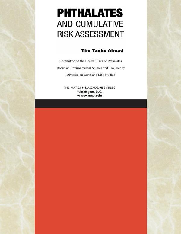 Phthalates and Cumulative Risk Assessment