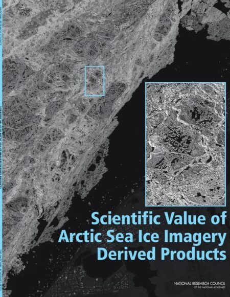 Scientific Value of Arctic Sea Ice Imagery Derived Products