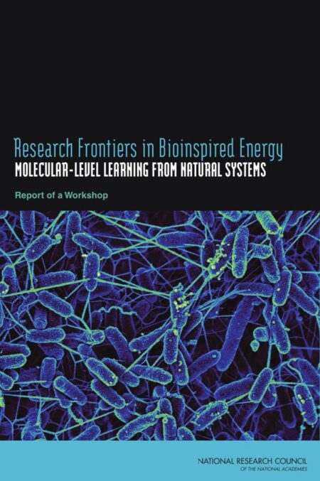 Research Frontiers in Bioinspired Energy
