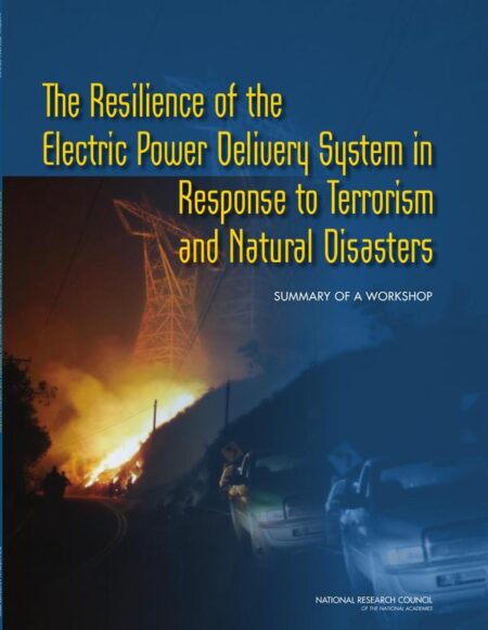 The Resilience of the Electric Power Delivery System in Response to Terrorism and Natural Disasters