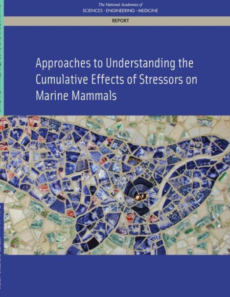 Approaches to Understanding the Cumulative Effects of Stressors on Marine Mammals