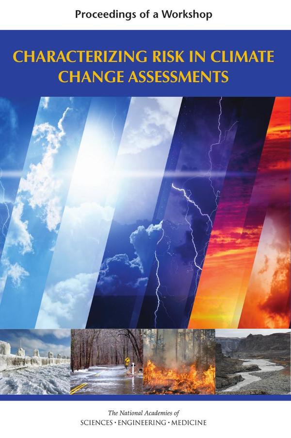 Characterizing Risk in Climate Change Assessments