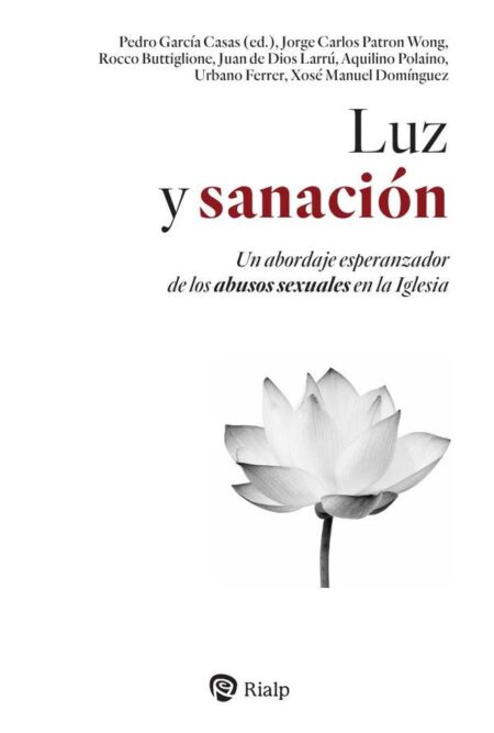 Luz y sanación:Un abordaje esperanzador de los abusos sexuales en la Iglesia