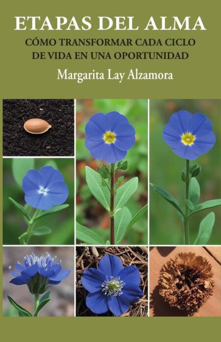 Etapas del Alma:Cómo Transformar cada Ciclo de Vida en una Oportunidad