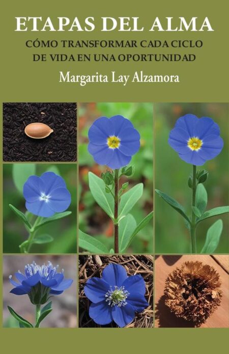 Etapas del Alma:Cómo Transformar cada Ciclo de vida en una oportunidad