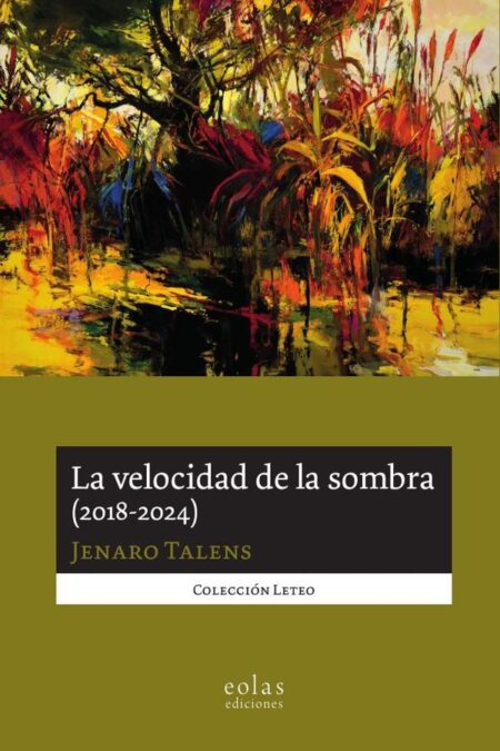 La velocidad de la sombra (2018-2024)