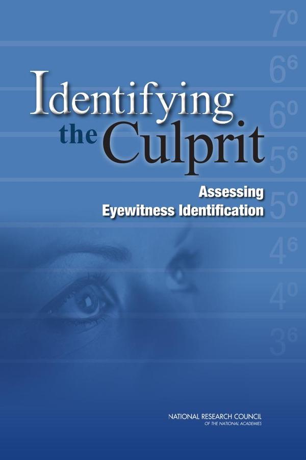 Identifying the Culprit